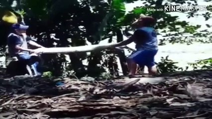 _reagindoaosvideosengracados Canal Entretenimento