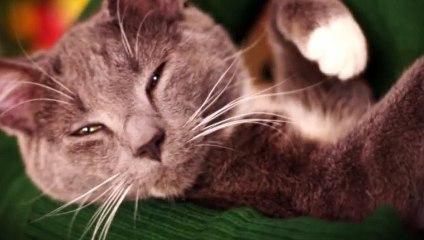 무주출장안마 -후불1ØØ%ョO7OV5222V7802｛카톡VV23} 무주전지역출장마사지 무주오피걸 무주출장안마 무주출장마사지 무주출장안마 무주출장콜걸샵안마 무주출장아로마 무주출장よぁぷ