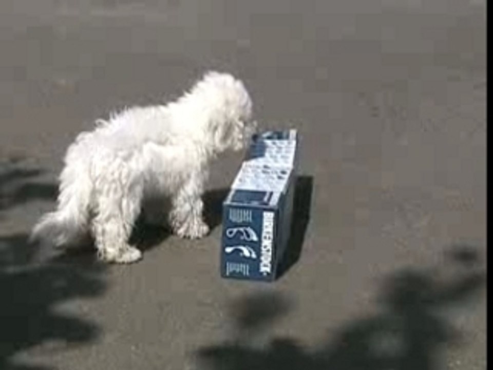 Cliffagility