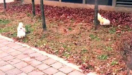 무주출장안마 -후불1ØØ%ョO7OW5222W7802｛카톡LGT010｝ 무주전지역출장마사지 무주오피걸 무주출장안마 무주출장마사지 무주출장안마 무주출장콜걸샵안마 무주출장아로마무주출장샵≉≍◣