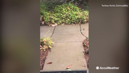 Hints of hail seen from house to house