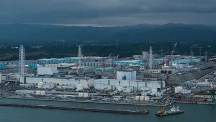 정부 "후쿠시마 오염수 적극 대응"...日 압박 / YTN