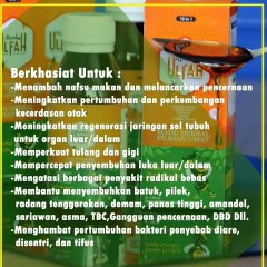 WA +62 812-1347-6978 Madu Herbal Untuk Anak Kabupaten Barito Utara Madu Ulfah 