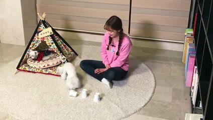평택출장안마 -후불1ØØ%ョOiOE7685E6221｛카톡PP888｝ 평택전지역출장마사지 평택오피걸 평택출장안마 평택출장마사지 평택출장안마  평택출장콜걸샵안마 평택출장아로마⻗ほ㍌ 평택출장샵