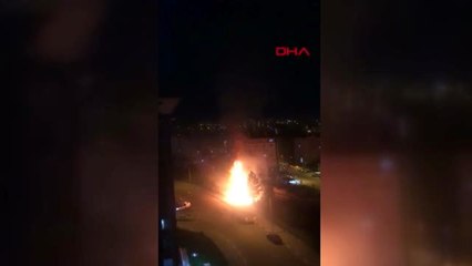 Muhtar, çocukların attığı torpille ağacın yanmasına sosyal medyadan tepki gösterdi