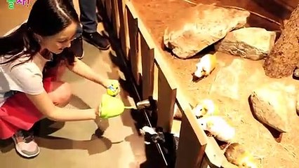 문막출장안마 -후불1ØØ%ョO7OV5222V6739｛카톡LA25｝ 문막전지역출장마사지 문막오피걸 문막출장안마 문막출장마사지 문막출장안마 문막출장콜걸샵안마 문막출장아로마 문막출장≌∑⊍