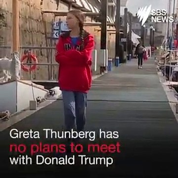 Greta Thunberg, jeune égérie de la lutte contre le réchauffement climatique, ne rencontrera pas Donald Trump aux Etats-Unis: Une perte de temps - VIDEO