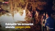 Eskişehir'de ormanlık alanda yangın