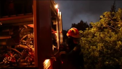 Un incendio forestal pone en peligro la isla griega de Eubea