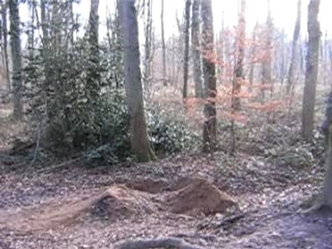 vtt en foret de saint germain