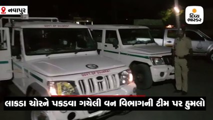 લાકડા ચોરને પકડવા ગયેલા ઉચ્છલ RFO પર હુમલો, ગંભીર ઈજા થઈ