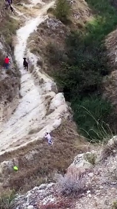 La vaca díscola del tercer encierro del Pilón: así amenazó con subir por el monte