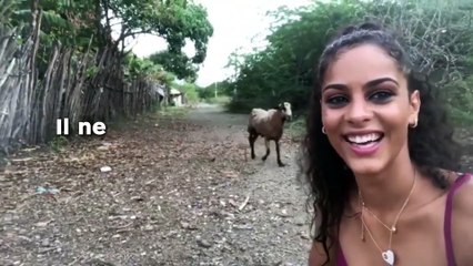 Il ne fallait pas tenter de faire un selfie avec cette chèvre...