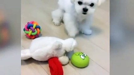 해운대출장안마 -후불100%ョOiOE7685E6221｛카톡PP888｝  해운대전지역출장안마 해운대오피걸 해운대출장마사지 해운대안마 해운대출장마사지 해운대콜걸샵∍⾩み