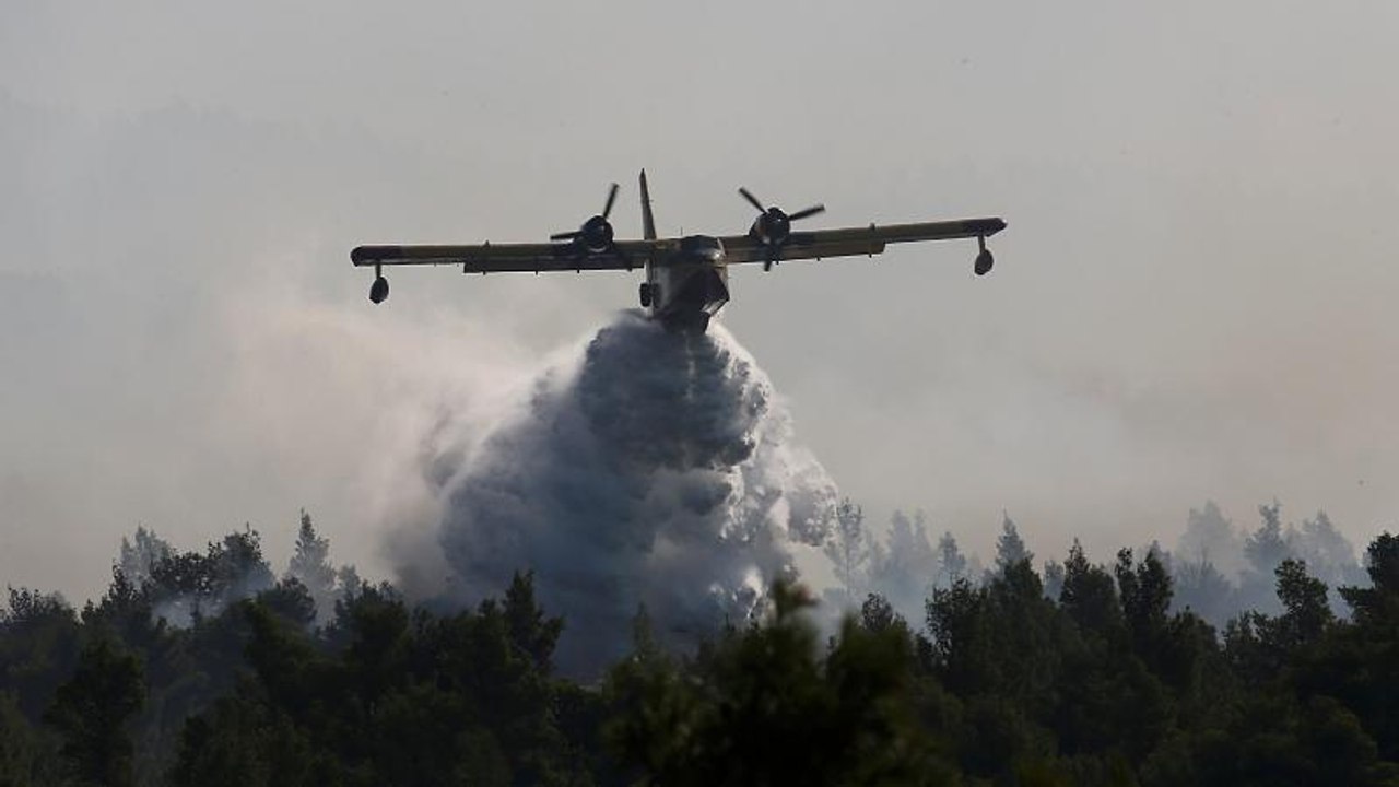 Εύβοια: Συνεχίζεται για 2η μέρα η μάχη με τις φ...
