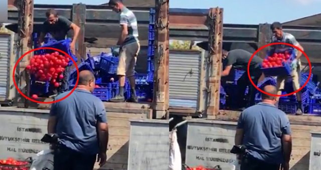 Bayrampaşa halinde tepki çeken görüntüler: Domatesleri kasa kasa çöpe attılar