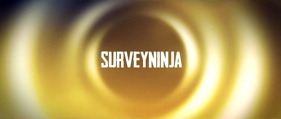 Introduction About Survey Ninja Website