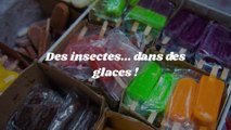 Une ONG dénonce la présence de résidus d’insectes dans des glaces artisanales