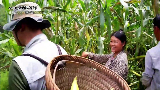 세계테마기행 - 물 만난 아시아 2부- 물과 함께 살으리랏다 베트남_#003