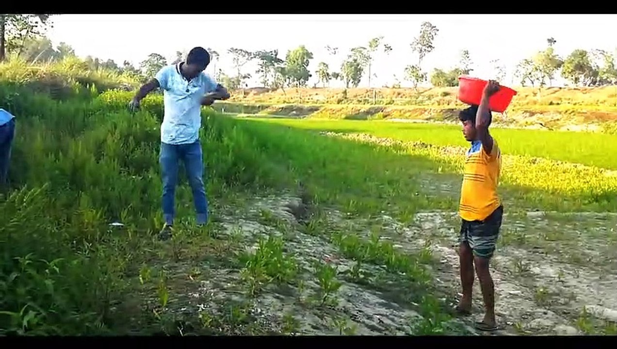 FUN AND COMEDY