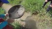 Grandpa Village || Searching Snail on rice field, Cooking on a Rock || eating delicious