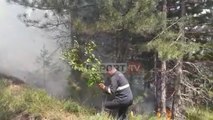 Report TV - Bashkia Kukës shpëton nga zjarri Parkun Kombëtar Korab Koritnik