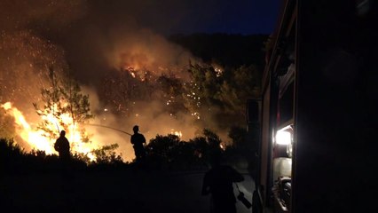 Incendio en isla griega provoca una "catástrofe ecológica"
