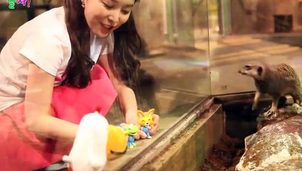 인제출장안마 -후불100%ョOiOV2671V8135｛카톡ZHF526｝  인제전지역출장안마 인제오피걸 인제출장마사지 인제안마 인제출장마사지 인제콜걸샵⾾つ⻑