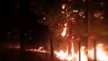 Çocukların bahçeye attığı torpil yangına neden oldu, muhtar tepkisini sosyal medya canlı yayınından gösterdi