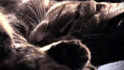 인천출장안마 -후불100%ョØ7ØE7575E0054｛카톡USA16｝  인천전지역출장안마 인천오피걸 인천출장마사지 인천안마 인천출장마사지 인천콜걸샵㍒⻋ぽ