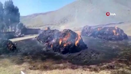 Ağrı'da çıkan yangında 110 ton ot küle döndü