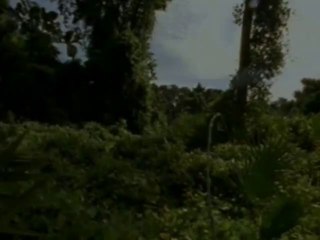 Sheena.1x01.La.Reine.De.La.Jungle.FR