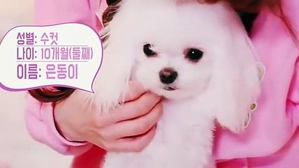 당진출장안마 -후불1ØØ%ョØ7ØE7575E0062｛카톡DK654｝ 당진전지역출장마사지 당진오피걸 당진출장안마 당진출장마사지 당진출장안마 당진출장콜걸샵안마 당진출장아로마 당진출장ぅ∎⻗
