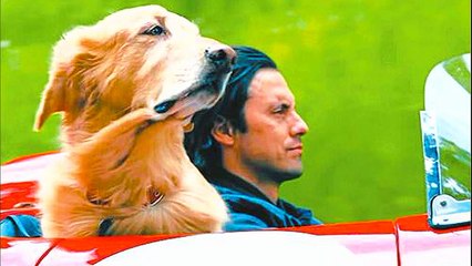 Meu Amigo Enzo - Trailer