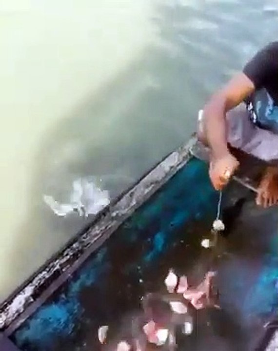 Il n'y a rien de plus facile que de pêcher des piranhas