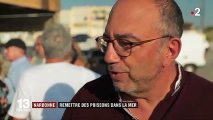 Narbonne : un dispositif sous-marin pour sauver la faune aquatique