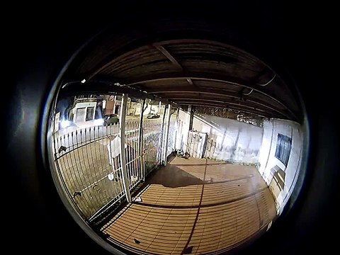 PCPR prende suspeitos de latrocínio que teve biólogo como vítima