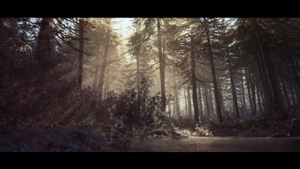 Blair Witch - Una passeggiata tra i boschi