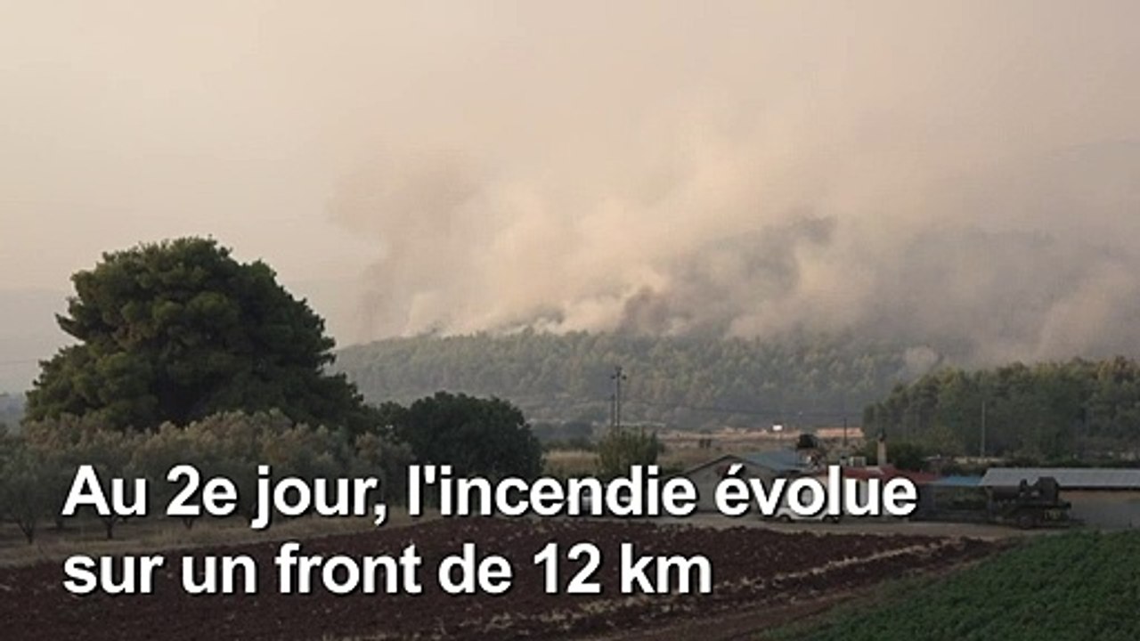 "Catastrophe écologique" sur l'île grecque d'Eubée ravagée par les flammes