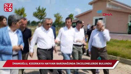 İmamoğlu’ndan sokak canlıları talimatı: “Eylül’de çalıştay, Ekim’de manifesto”