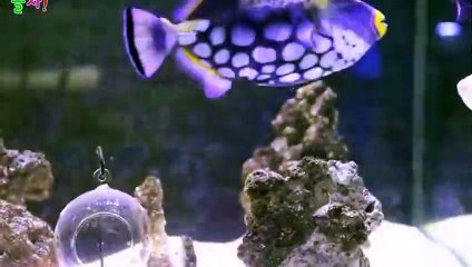 화성출장안마 -후불100%ョØ7ØE7575E0069｛카톡RD654｝  화성전지역출장안마 화성오피걸 화성출장마사지 화성안마 화성출장마사지 화성콜걸샵◡∯⻖