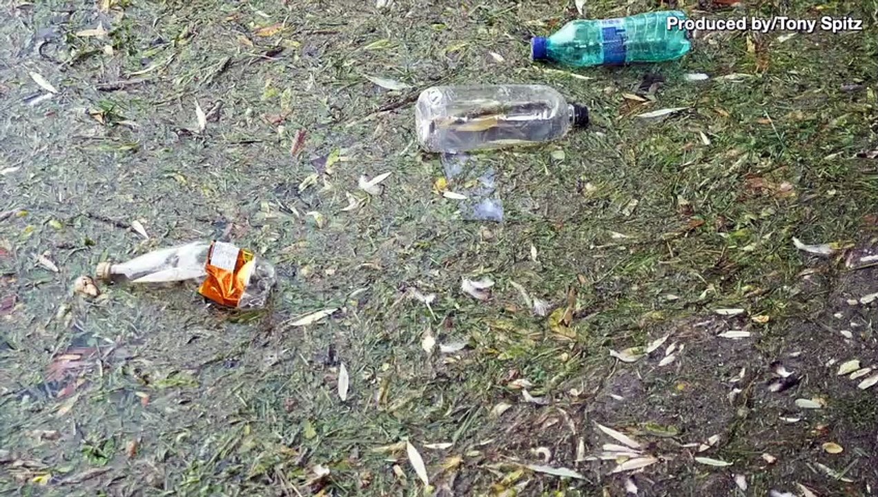 Scientists Find ‘Very High’ Levels of Microplastics in Arctic Ice