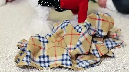 성서출장안마 -후불100%ョOiOE7685E6221｛카톡PP888｝  성서전지역출장안마 성서오피걸 성서출장마사지 성서안마 성서출장마사지 성서콜걸샵⾦≩⊐