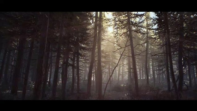 BLAIR WITCH 4K Tour Through the Woods (2019)