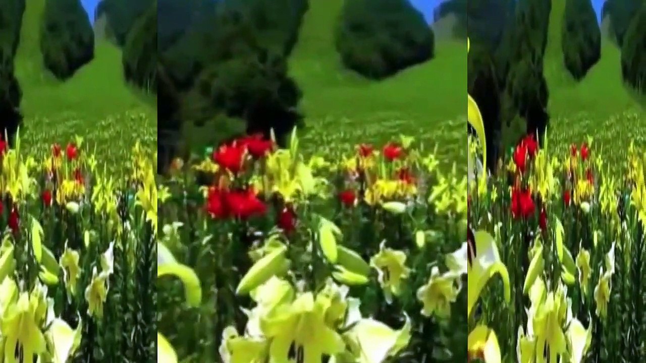 Ağlasam mı Gülsem mi **Müzik İLGÜN SOYSEV **sözler AYNUR AVCI.