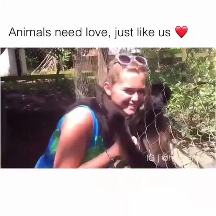 Les animaux ont besoin d'amour comme les hommes. Émouvant !