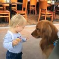 Adorable ! La complicité entre ce chien et cette petite fille est touchante
