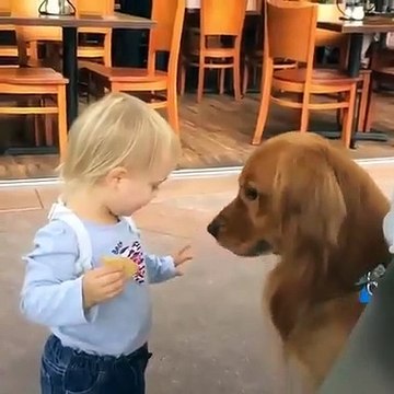 Adorable ! La complicité entre ce chien et cette petite fille est touchante