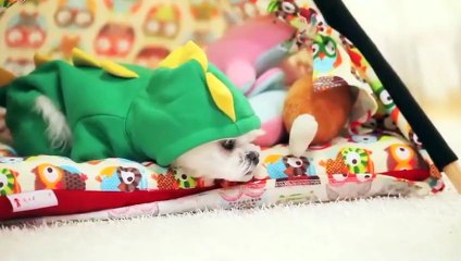 상주출장안마 -후불100%ョØ7ØE7575E0062｛카톡DK654｝  상주전지역출장안마 상주오피걸 상주출장마사지 상주안마 상주출장마사지 상주콜걸샵◖≈は