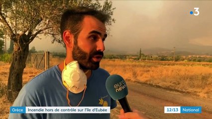 Grèce : l'île d'Eubée ravagée par les flammes